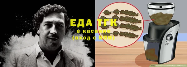 гашик Алексин