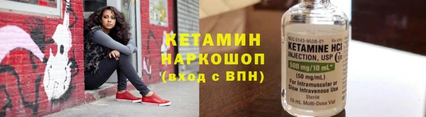 гашик Алексин