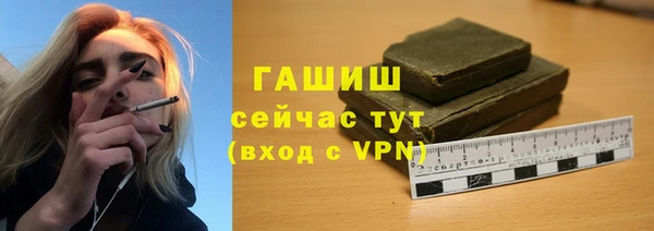гашик Алексин