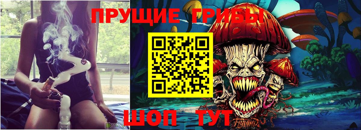 Псилоцибиновые грибы Psilocybe  Вход с VPN  Миллерово  Псилоцибиновые грибы Cubensis 