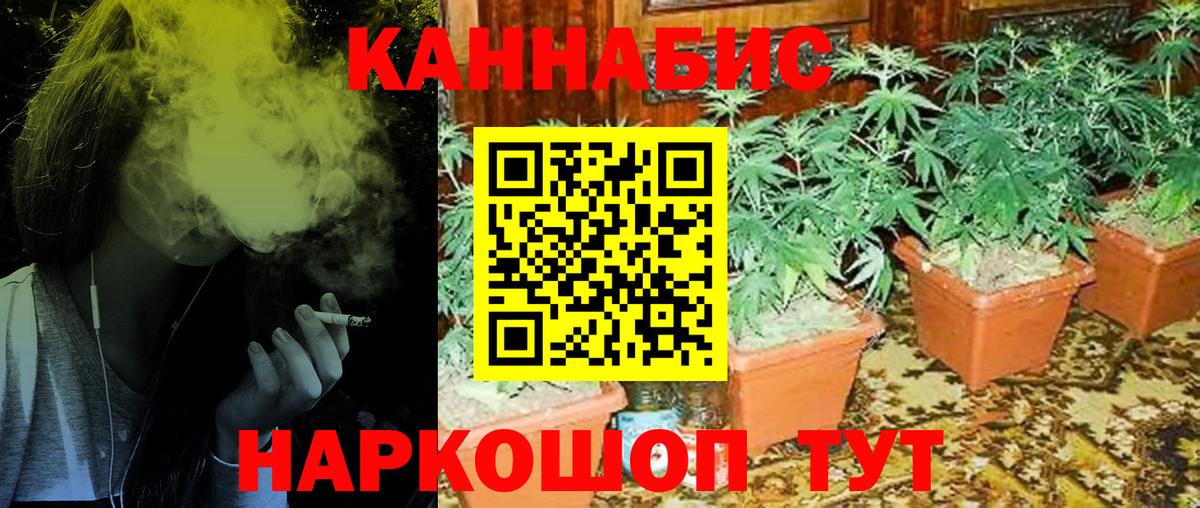 Марихуана конопля  Шишки марихуана VHQ  Миллерово  Каннабис планчик  Бошки марихуана сатива  Вход с VPN 